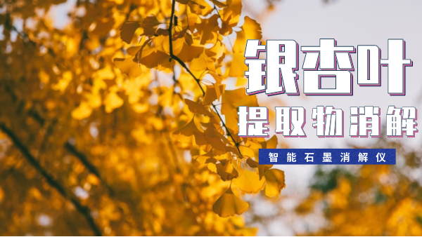 銀杏葉提取物消解最簡單方法！一眼就會